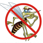 Borra de Caf� mata o mosquito da Dengue!