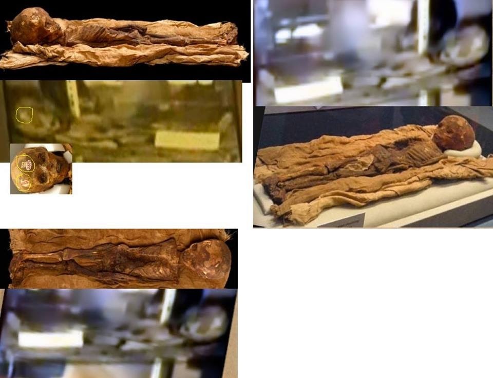 Semelhanças entre o "ET" e a múmia em exposição nos Estados Unidos! (fotos: Céticos Versus Disco Voador) 