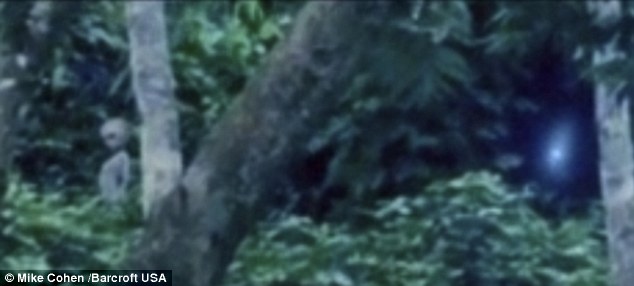 Alien filmed in Brazil rainforest - Será que é verdadeiro ou falso?