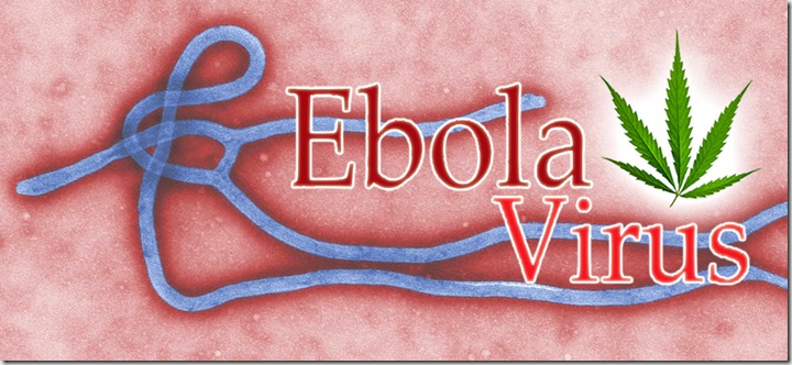Será que a maconha pode ajudar no tratamento do Ebola? (foto: Reprodução/Facebook)