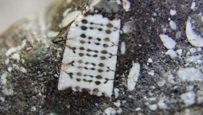 Microchip encontrado em uma pedra de 250 milhões de anos! Será verdade? (foto: reprodução/Facebook)