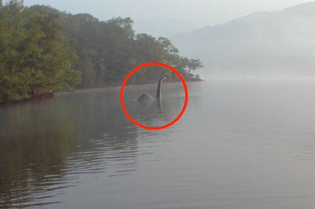Fotógrafa flagra o Monstro do Lago Ness! Será verdade? (foto: reprodução/Twitter)