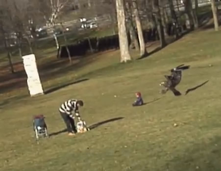 Águia tenta capturar um bebê no parque! Verdadeiro ou falso?