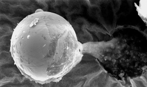 Esfera do tamanho de 30 mícrons teria vindo do espaço cheia de material orgânico! Será verdade? (foto: Reprodução/YouTube) 