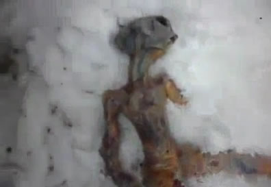 Corpo de extraterrestre encontrado na Sibéria!