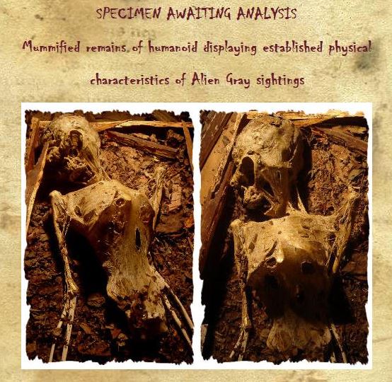 "Múmia egípcia" à venda no Museu das Monstruosidades! (foto: Reprodução) 