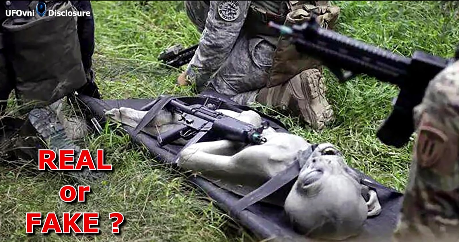 Alienígena é capturado e morto por militares! Será?