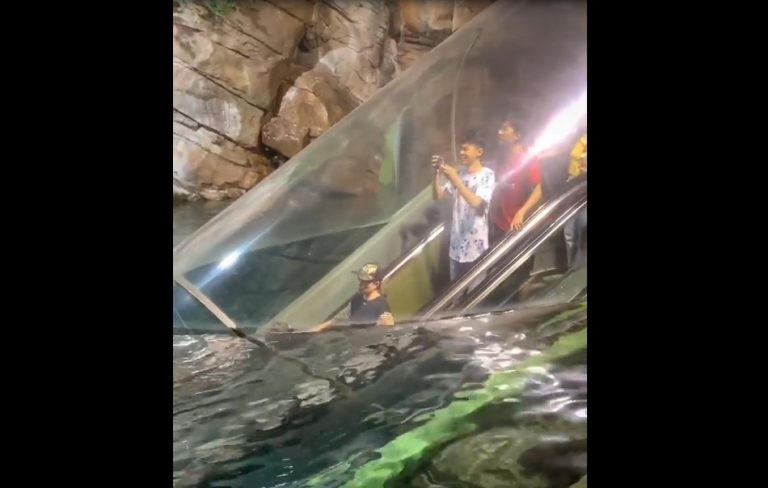 Escada rolante leva turistas para ver o fundo do mar na China! Será verdade?