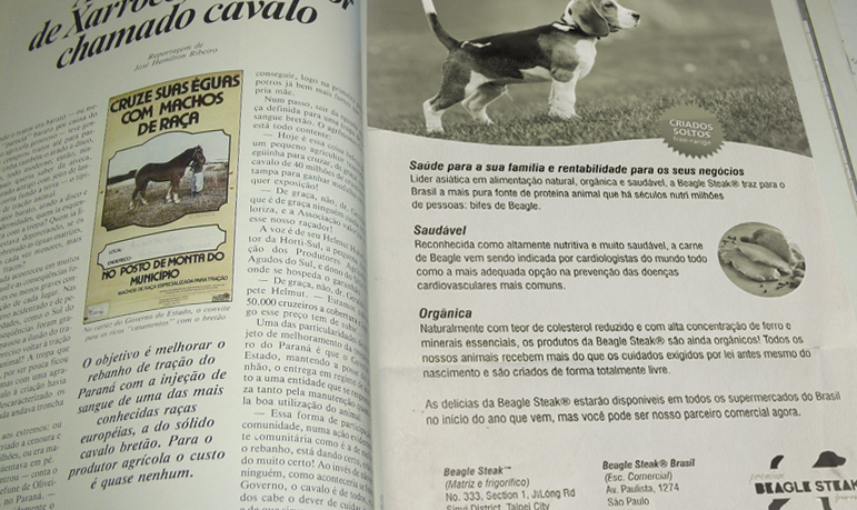 Anuncio da Beagle Steak numa revista rural prova que é real! Será?