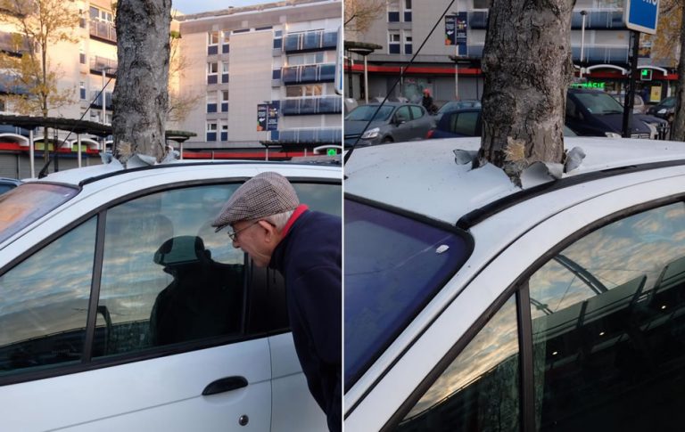 Uma árvore cresceu misteriosamente dentro de um carro na França?
