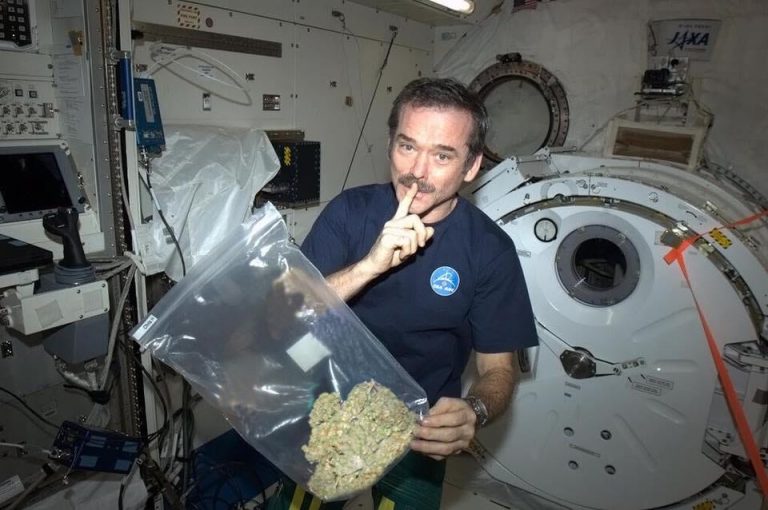 Foto de astronauta segurando um saco com maconha é verdadeira ou falsa?