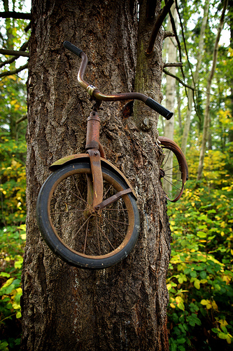 Bicicleta presa na árvore