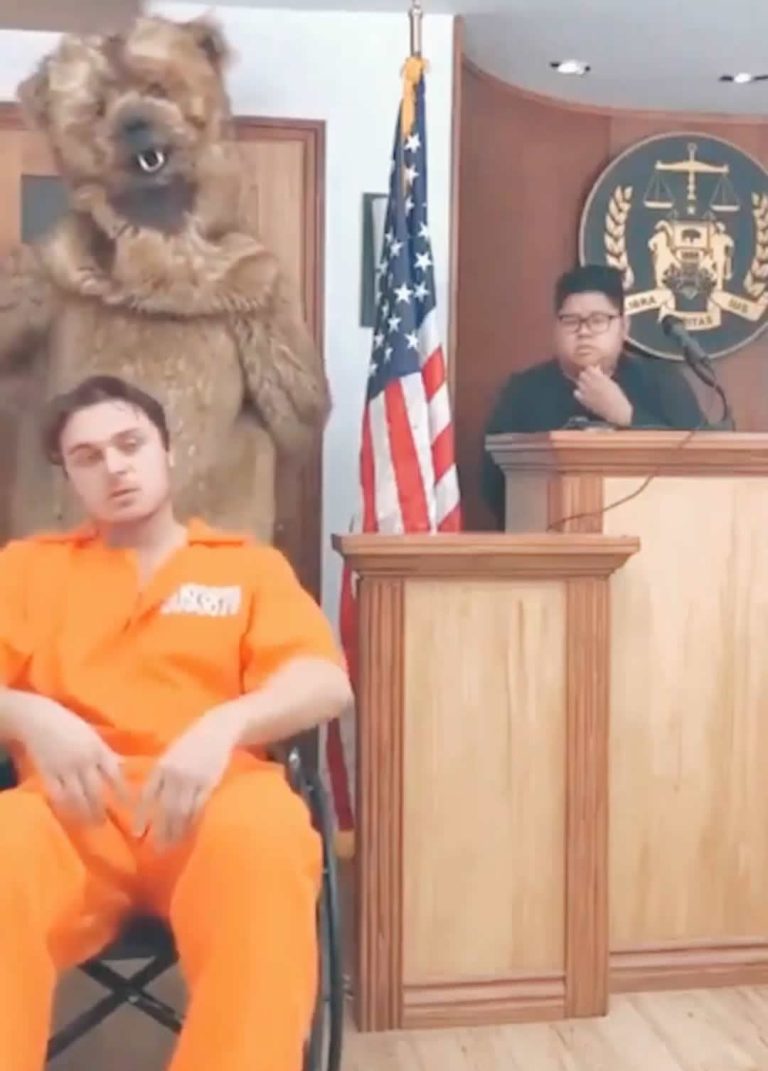 Juiz coloca policial fantasiado de urso no tribunal para testar réu cadeirante! Será verdade?