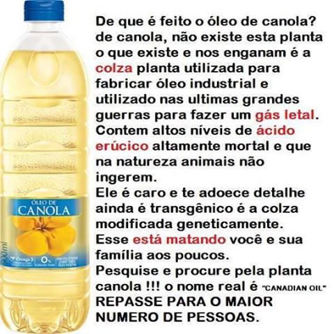 O perigo do óleo de Canola é real?