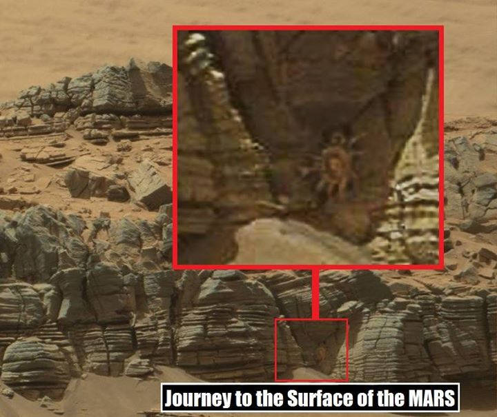 Enorme caranguejo teria sido encontrado em Marte! Será? (foto: Reprodução/Facebook)
