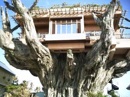 Casa na árvore - Restaurante em Okinawa - Japão