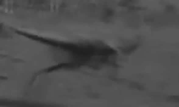 Vídeo de dinossauro vaza em filme da KGB