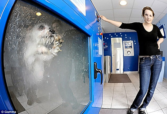 Dog-o-Matic já teria matado vários cachorros por causa do estresse causado pela máquina de lavar cães! Será verdade? (foto: Reprodução/Facebook)
