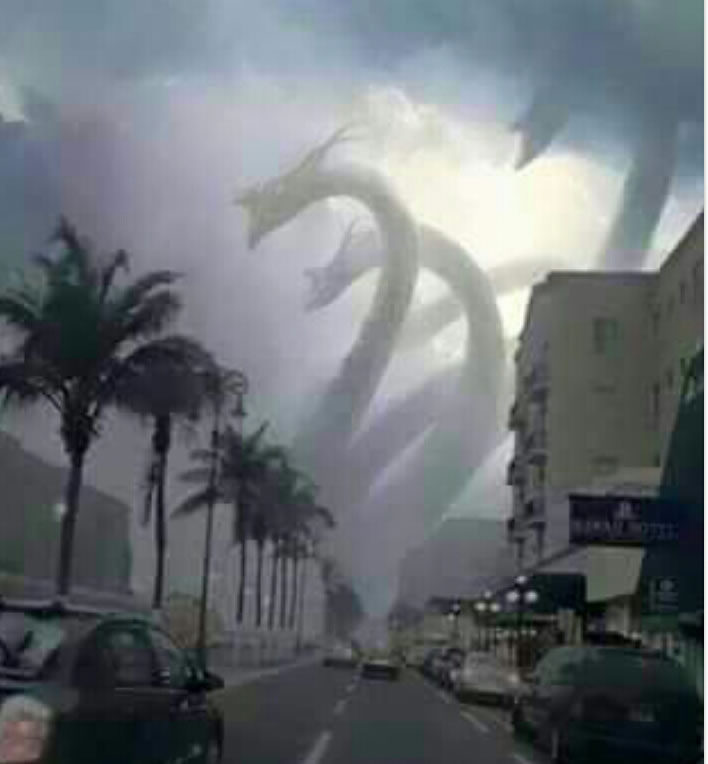 Criatura estranha surge no Brasil! Será verdade? (foto: Reprodução/Facebook)
