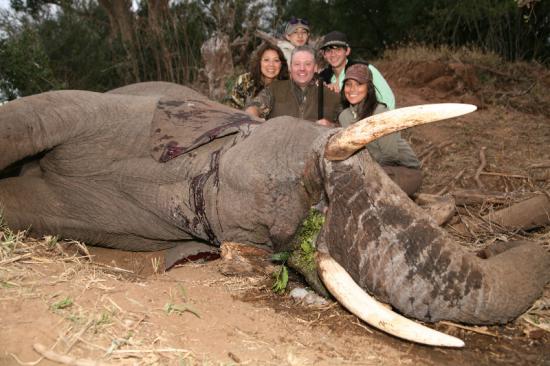 Família posa ao lado de elefante morto por ela!