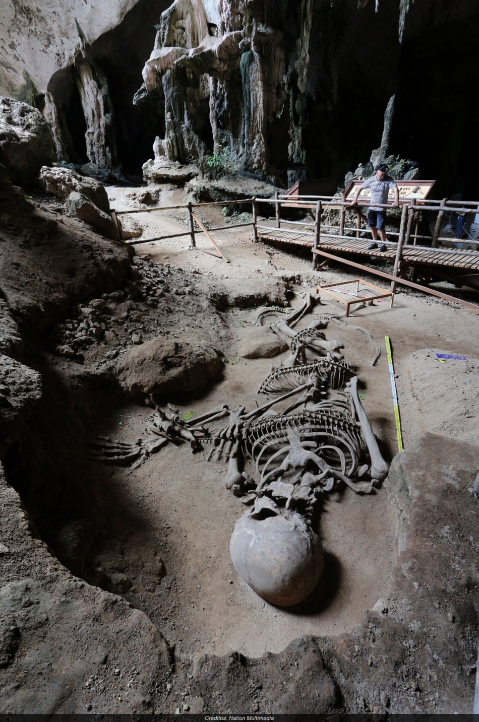 Esqueleto de cobra gigante é encontrado através do Google Maps