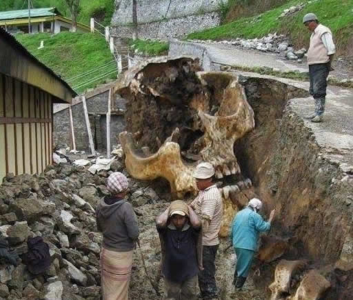 Esqueleto humano gigante encontrado no México! Nefilins?