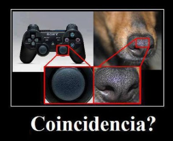 Focinho de cães são usados em controles de videogames! Será verdade? 