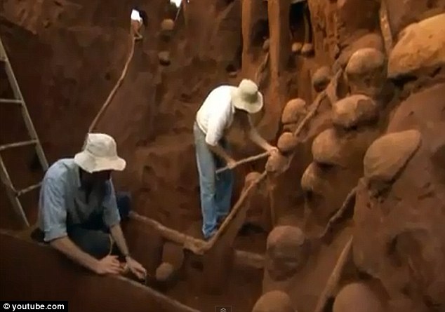 Biólogos enchem formigueiro com concreto!