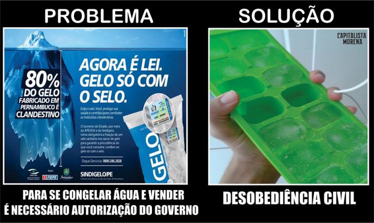 Agora é Lei: Gelo só com selo da Sindigelo! Será?