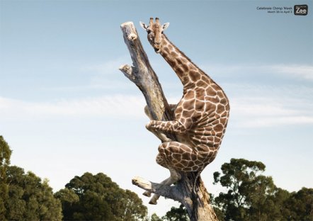 Desafio da girafa estaria espalhando vírus no Facebook! Será? (foto: Divulgação)
