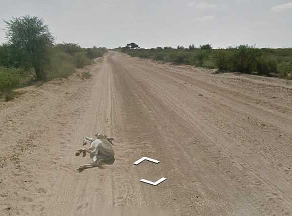 Carro do Google Street View atropela burro na estrada! Será?