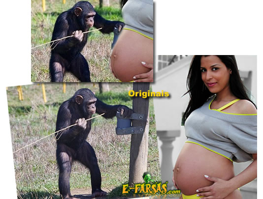 Análise da foto da garota gravida de um chipanzé!