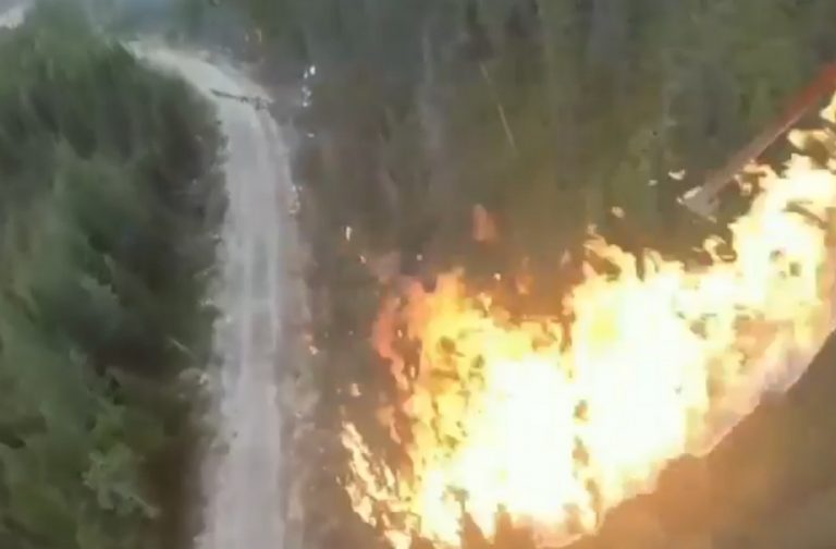 Vídeo mostra um drone incendiando de forma criminosa uma floresta?
