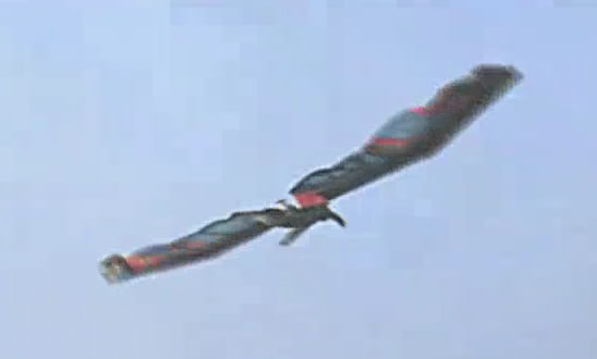 homem_voador - verdadeiro ou falso - Human Birdwings