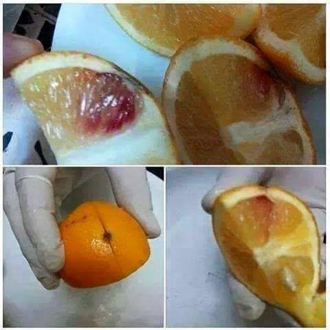 O Serviço de Saúde da Argélia teria apreendido um grande carregamento de laranjas da Turquia contaminadas com o vírus da AIDS! Será verdade? (foto: Rerodução/Facebook)