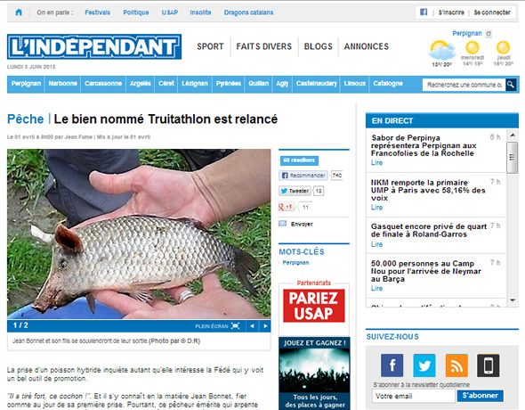 Pegadinha do dia da mentira do jornal francês L’Indépendant usando a fotomontagem do peixe-porco! (reprodução)