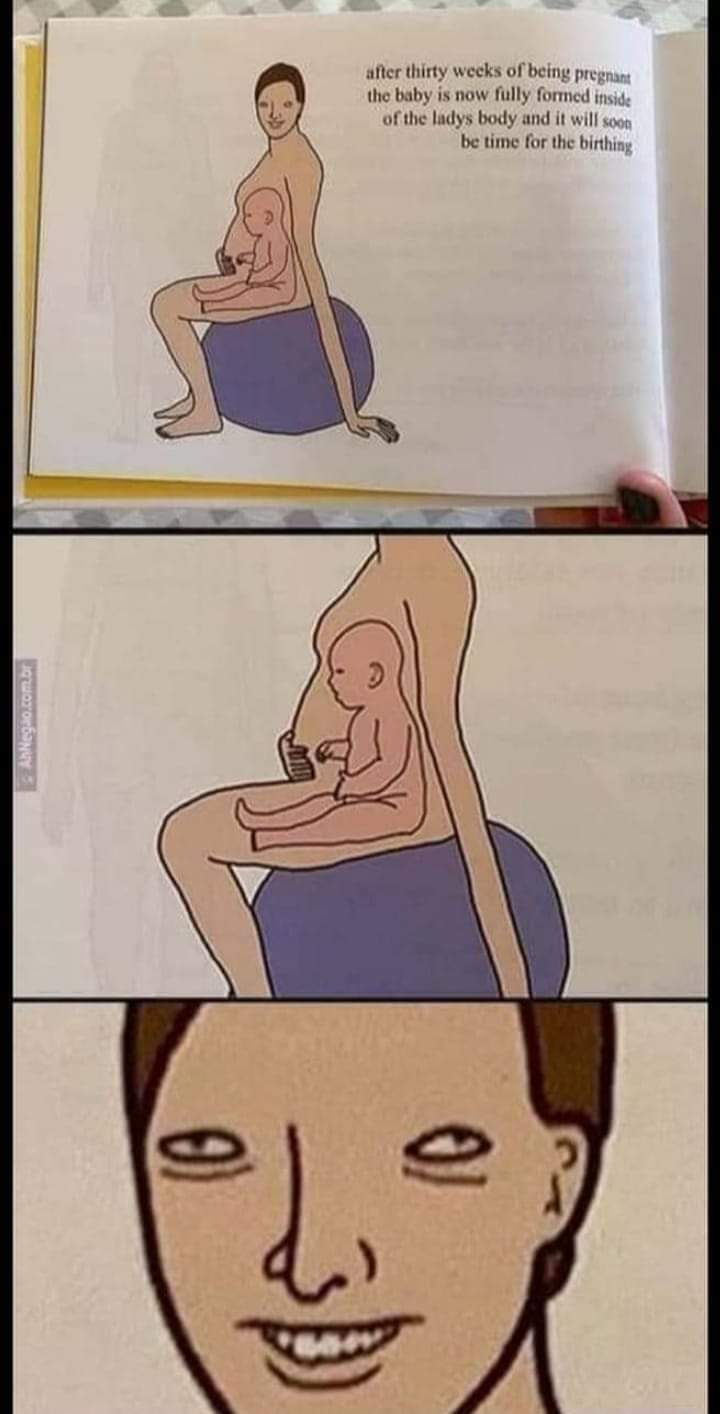 Livro escolar mostra ilustrações de uma gestante com o bebê sentado dentro da sua barriga! Será?