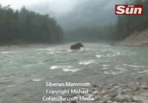 Um mamute vivo, caminhando em rio da Sibéria? Verdadeiro ou falso?