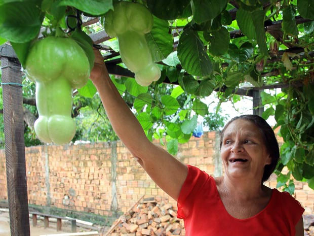 Mulher exibe sua plantação de uma fruta em forma de pênis! Será verdade? (créditos da  foto no final desse artigo)