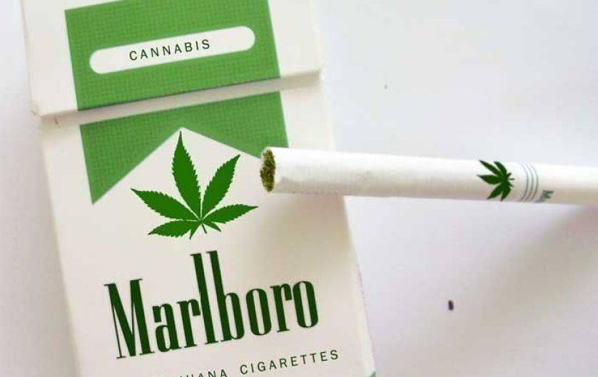 A Souza Cruz estaria se preparando para lançar o Marley, um cigarro a base de maconha! Será verdade? (foto: Reprodução/Twitter)