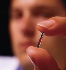 microchip implantavel