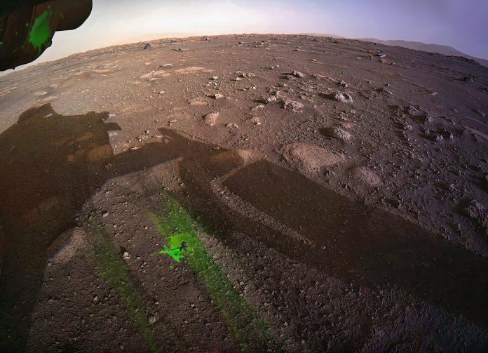 O Rover Perseverance atropelou e matou a única forma de vida em Marte?