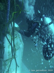 Mergulhadores retirando as cordas que levaram a estátua ao fundo do mar! (foto: Divulgação)