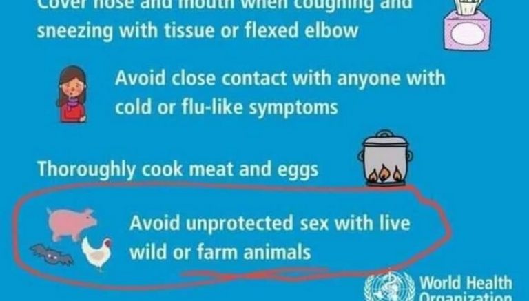 A OMS orientou a evitar sexo com animais como prevenção ao coronavírus?