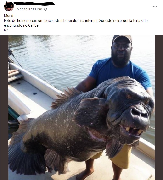 Um raro peixe-gorila foi capturado no mar do Caribe?