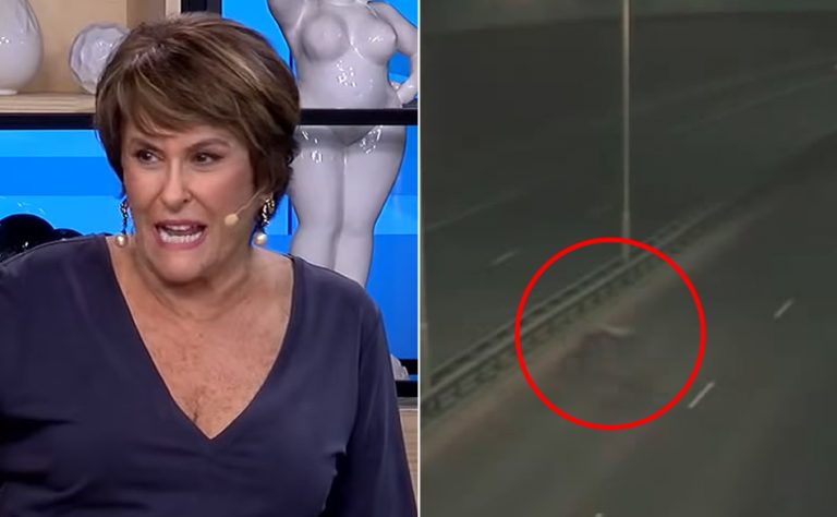 Um estranho ser “reptilíneo” foi filmado atravessando uma estrada?