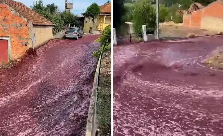 Vídeo mostra uma enxurrada de vinho percorrendo as ruas de Portugal! Será verdade?