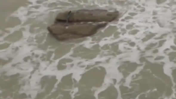 Sereia encontrada em praia do Iraque! Verdadeiro ou falso? (Reprodução/YouTube) 