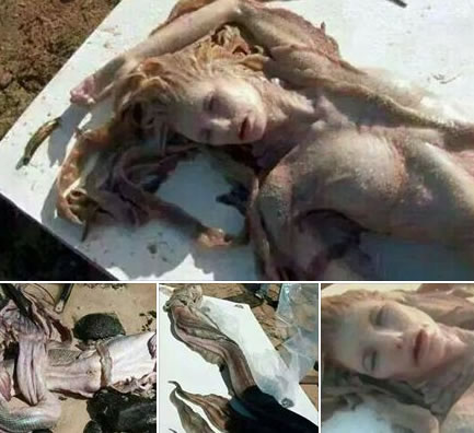 Sereia teria sido encontrada em Sergipe! Verdade ou farsa? (fotos: Reprodução/WhatsApp)