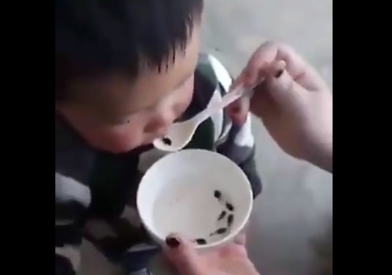 Vídeo mostra uma criança chinesa tomando uma “sopa” de girinos vivos?